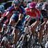Kim Kirchen im Hauptfeld w�hrend der 2. Etappe der Tour of California 2007